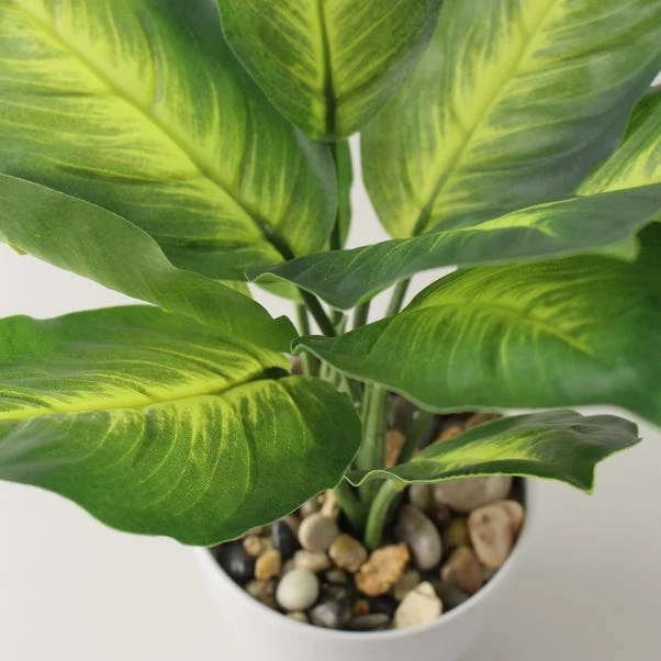 Artificial Dieffenbachia In White Plant Pot - Image 4