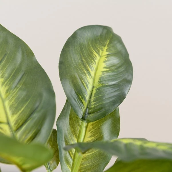 Artificial Dieffenbachia In White Plant Pot - Image 2