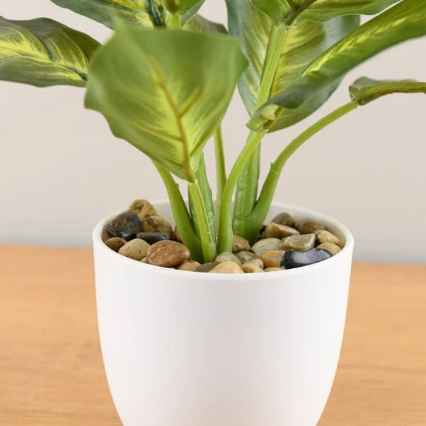 Artificial Dieffenbachia In White Plant Pot - Image 3