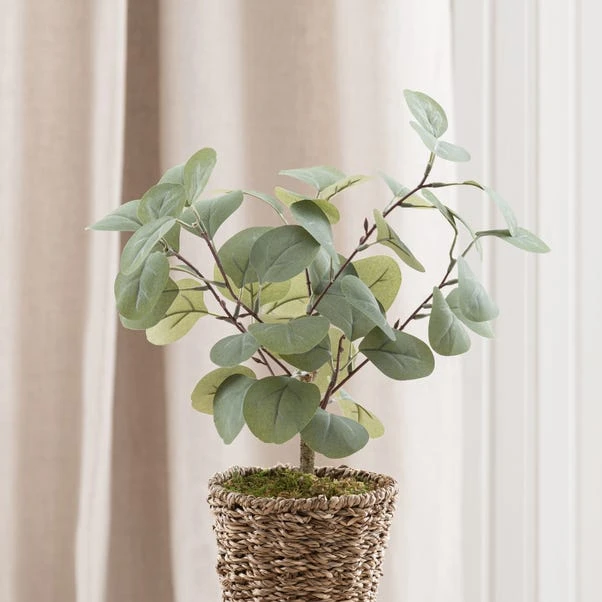 Artificial Small Eucalyptus Tree In Woven Plant Pot - Image 2