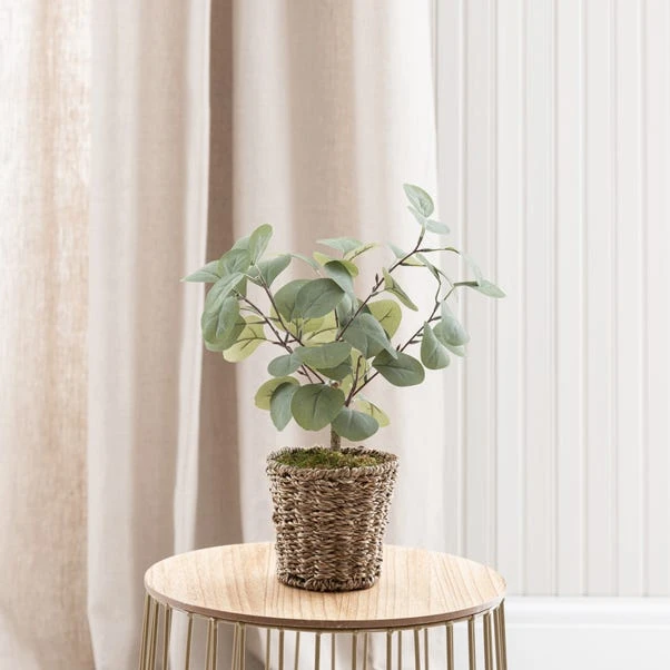Artificial Small Eucalyptus Tree In Woven Plant Pot - Image 3