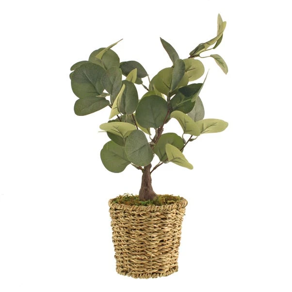 Artificial Small Eucalyptus Tree In Woven Plant Pot - Image 4
