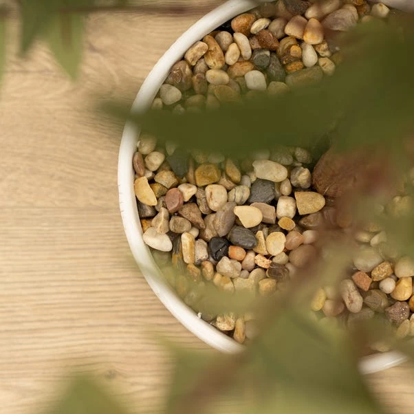 Artificial Olive Tree In White Ceramic Plant Pot - Image 3