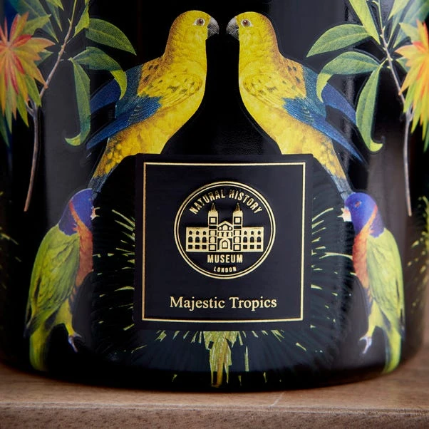 Majestic Tropics Birds Candle - Image 2