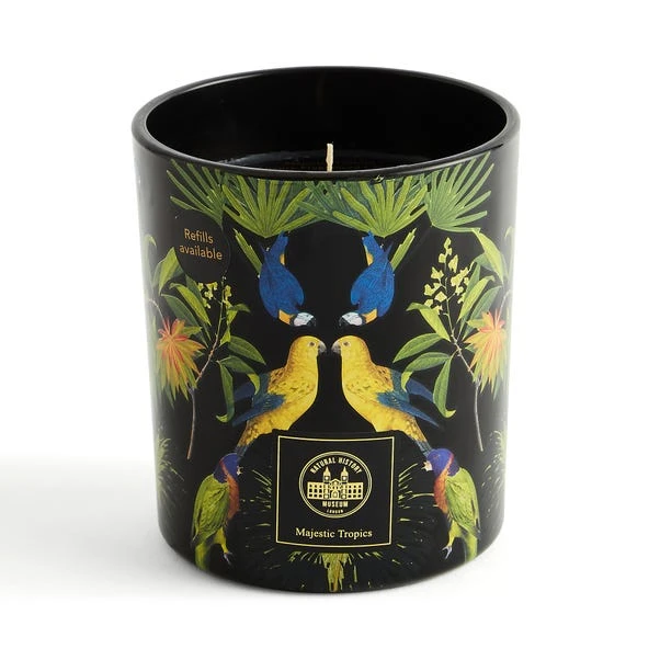 Majestic Tropics Birds Candle - Image 3