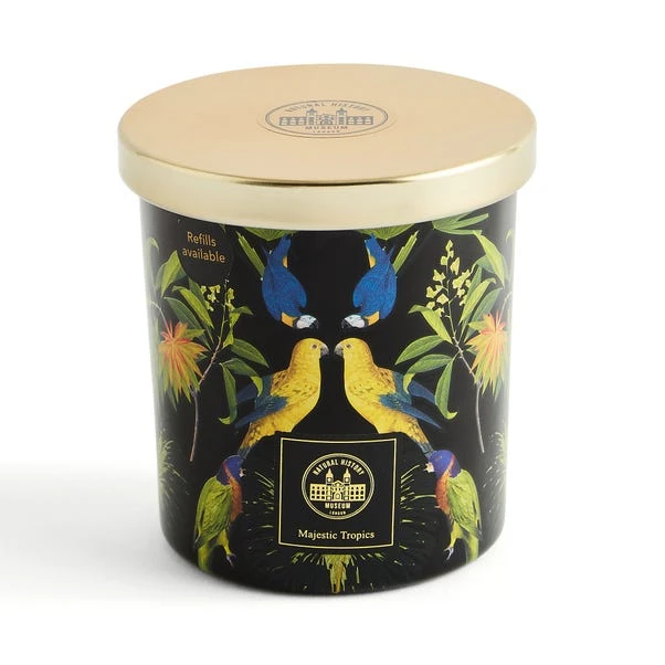 Majestic Tropics Birds Candle - Image 4