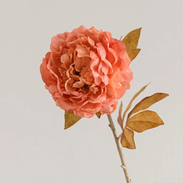 Artificial Dried Pink Peony Stem - Image 3