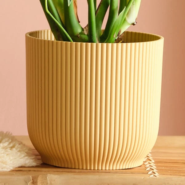 Swiss Cheese House Plant In Elho Pot - Image 12