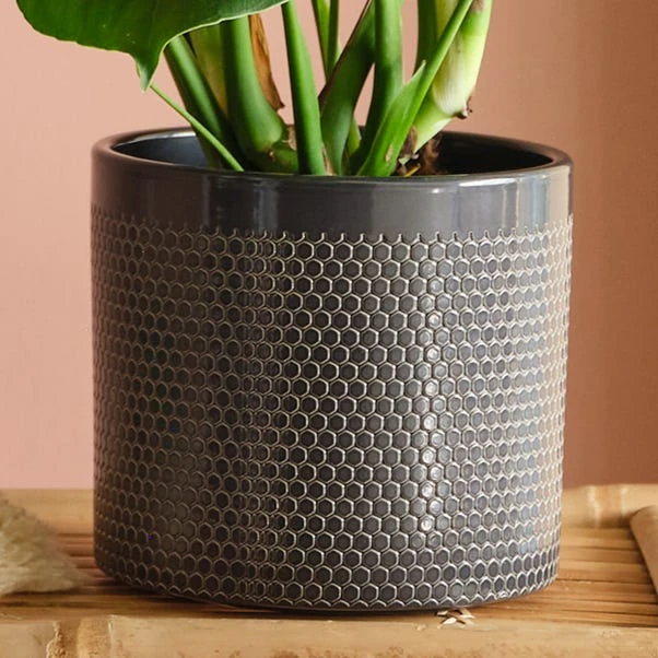 Swiss Cheese House Plant In Capri Pot - Image 17