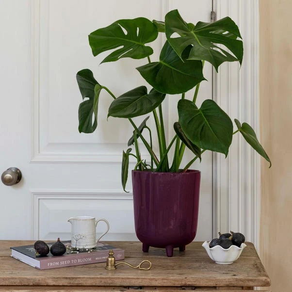 Lecce Speckled Plant Pot - Image 8