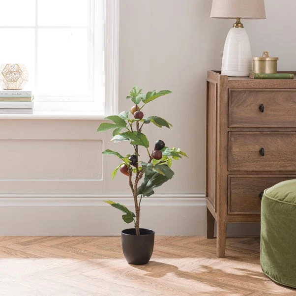 Artificial Fig Tree In Black Cement Plant Pot