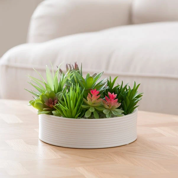 Artificial Succulent In Round Ceramic Plant Pot - Image 4