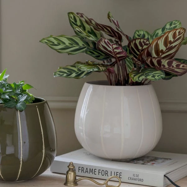 Nova Wax Relief Plant Pot - Image 14