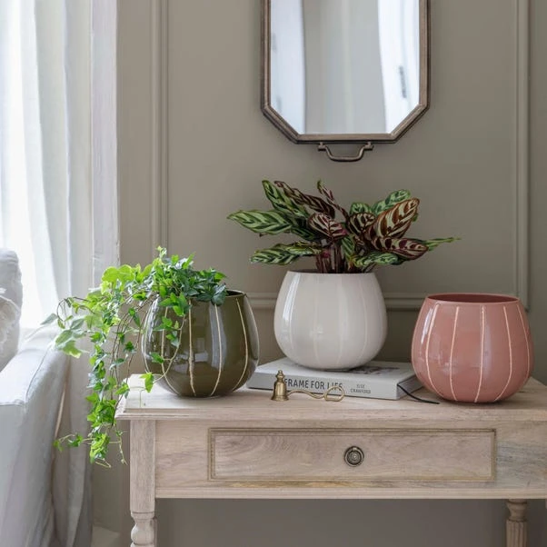 Nova Wax Relief Plant Pot - Image 15