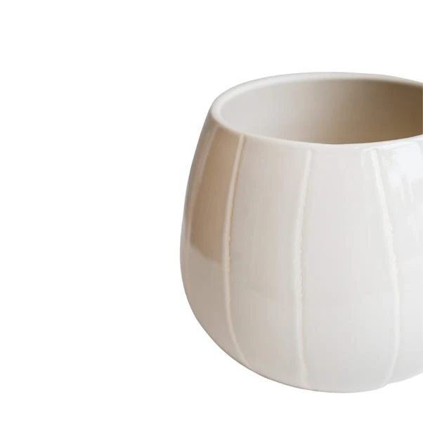 Nova Wax Relief Plant Pot - Image 17