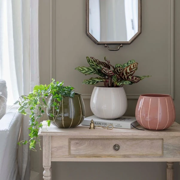 Nova Wax Relief Plant Pot - Image 9