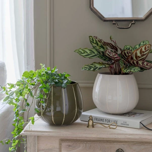 Nova Wax Relief Plant Pot - Image 5