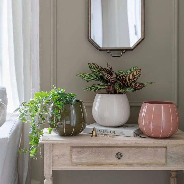 Nova Wax Relief Plant Pot - Image 6