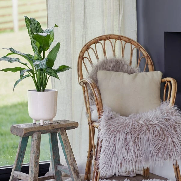 Lecce Speckled Plant Pot - Image 3