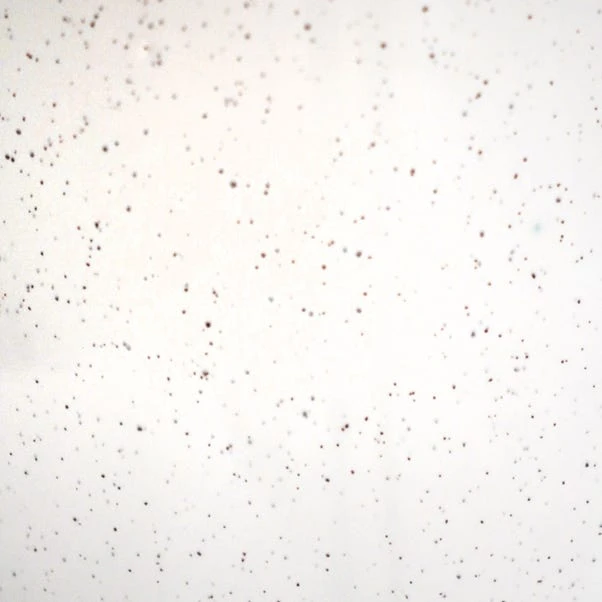 Lecce Speckled Plant Pot - Image 4