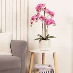 Artificial Pink Phalaenopsis Orchid In Beige Ceramic Plant Pot