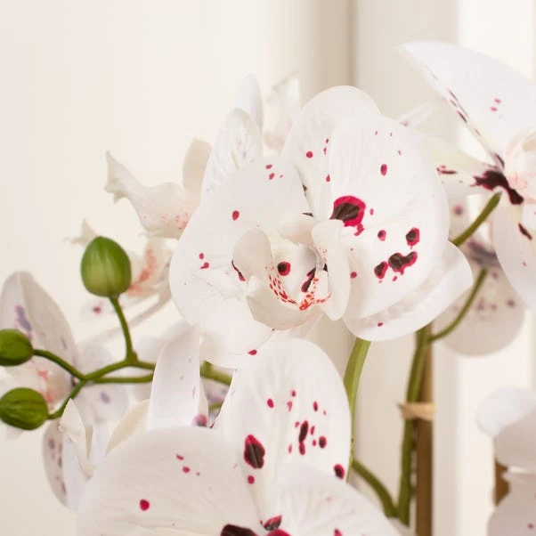 Artificial White Speckled Orchid In Beige Ceramic Plant Pot - Image 6
