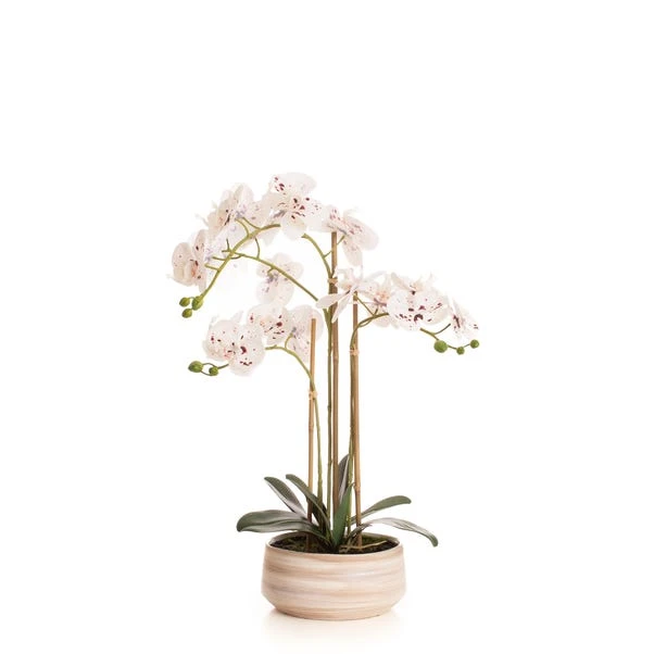 Artificial White Speckled Orchid In Beige Ceramic Plant Pot - Image 8