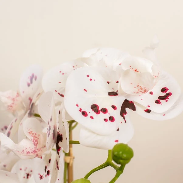 Artificial White Speckled Orchid In Beige Ceramic Plant Pot - Image 2