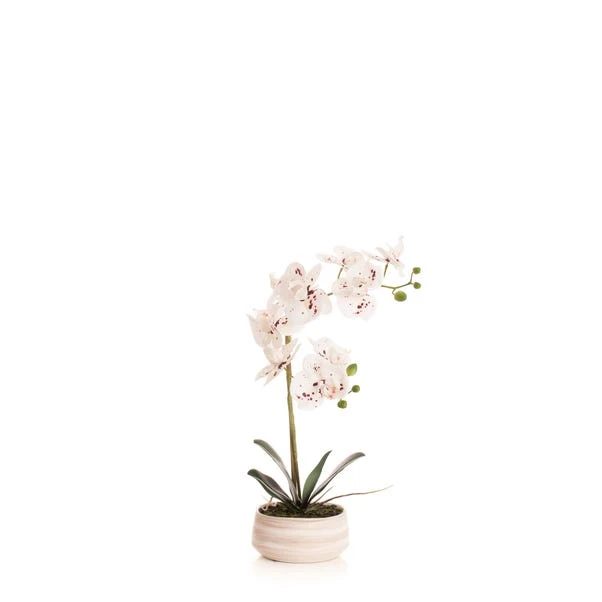 Artificial White Speckled Orchid In Beige Ceramic Plant Pot - Image 4