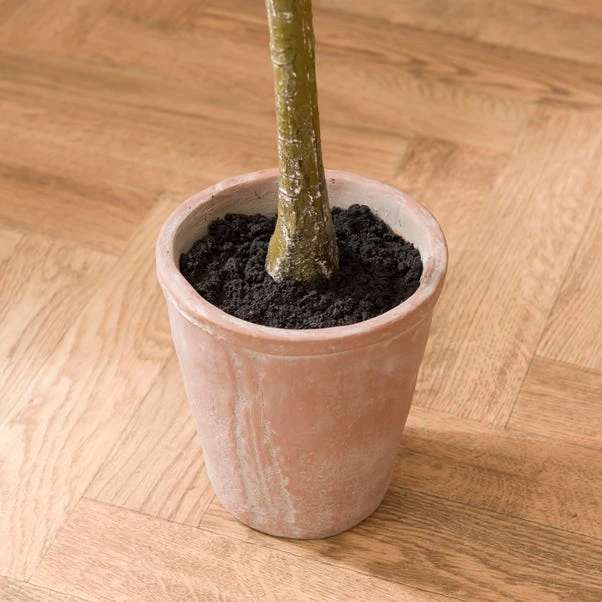 Artificial Eucalyptus Tree In Orange Cement Plant Pot - Image 4