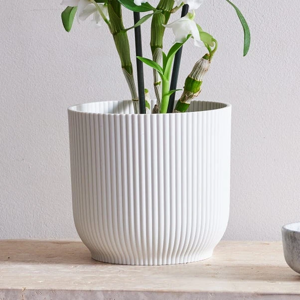 Dendrobium Bamboo Orchid House Plant In Vibes Pot - Image 7