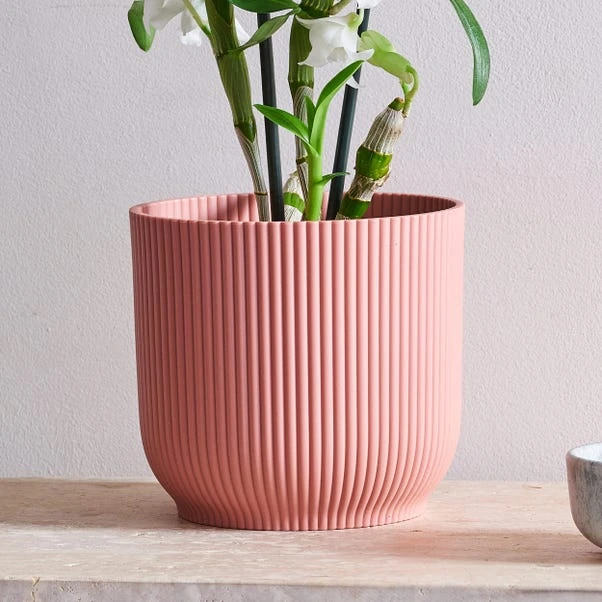 Dendrobium Bamboo Orchid House Plant In Vibes Pot - Image 15