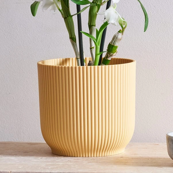 Dendrobium Bamboo Orchid House Plant In Vibes Pot - Image 3