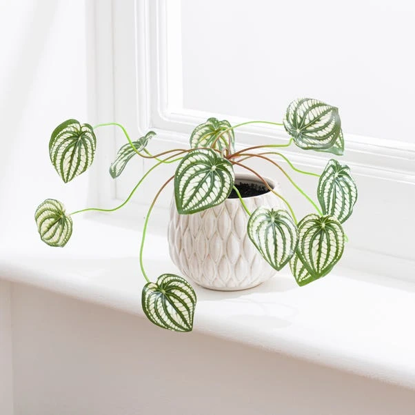 Artificial Peperomia Plant In Cream Ceramic Plant Pot - Image 4