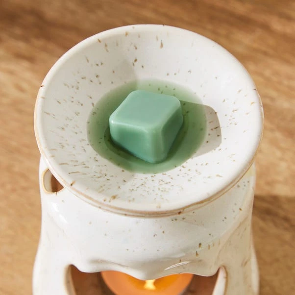 Set Of 6 Pistachio & Coconut Wax Melts - Image 2