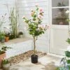 Artificial Rose Tree In Black Plant Pot