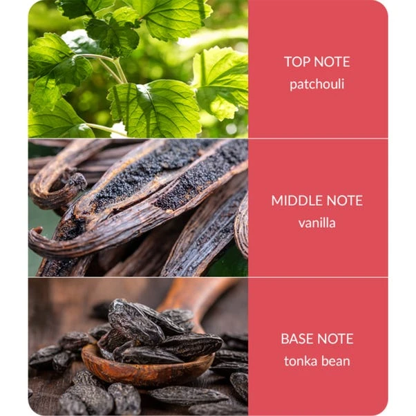 Heart And Home Ellipse True Enchantment Multi Wick Candle - Image 4