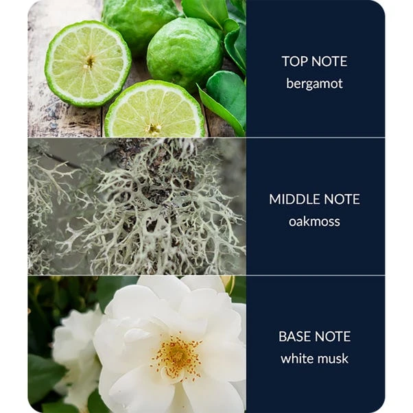 Heart And Home Ellipse River Rock Multi Wick Candle - Image 4