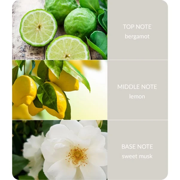 Heart And Home Ellipse Guardian Angel Multi Wick Candle - Image 4