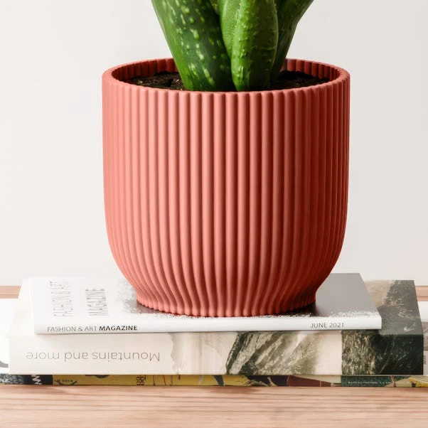 Aloe Vera House Plant In Elho Vibes Pot - Image 15