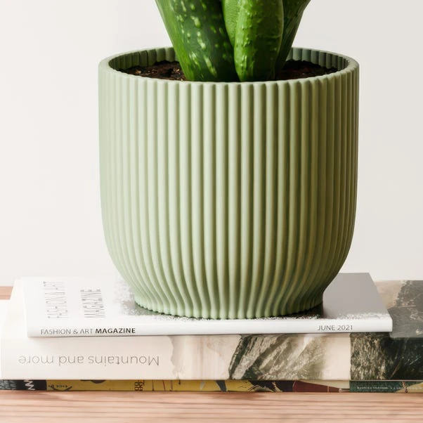 Aloe Vera House Plant In Elho Vibes Pot - Image 11