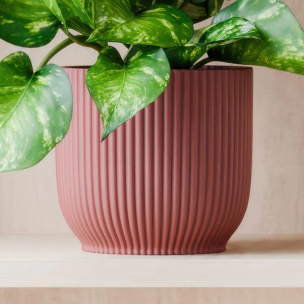 Marble Queen Pothos House Plant In Elho Pot - Image 15