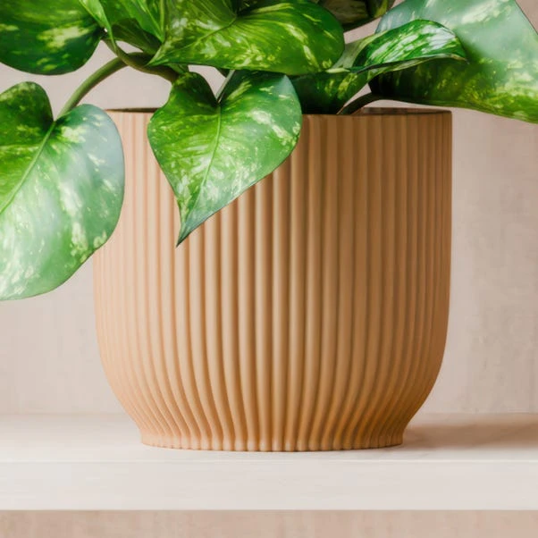 Marble Queen Pothos House Plant In Elho Pot - Image 3
