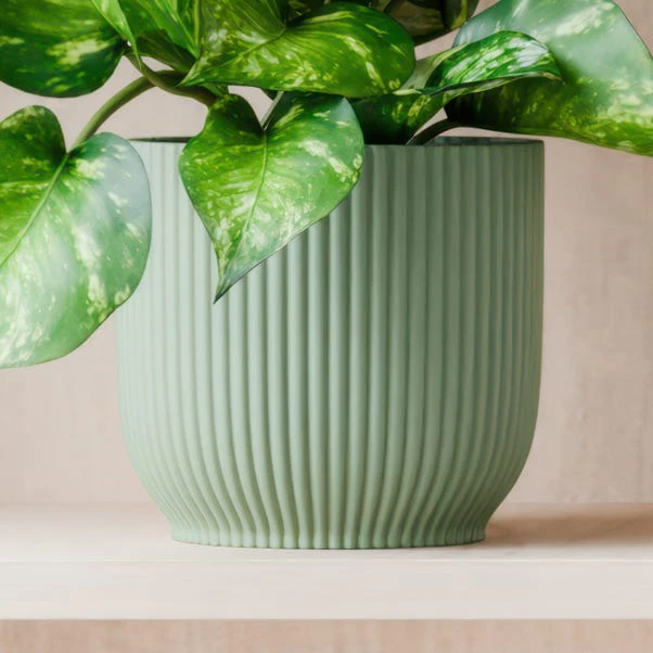 Marble Queen Pothos House Plant In Elho Pot - Image 11