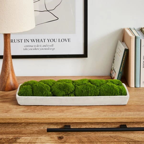 Artificial Moss In Cement Tray