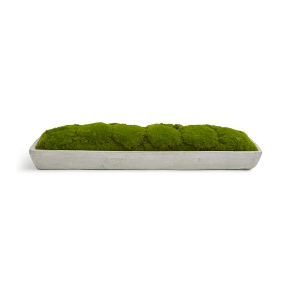 Artificial Moss In Cement Tray - Image 3