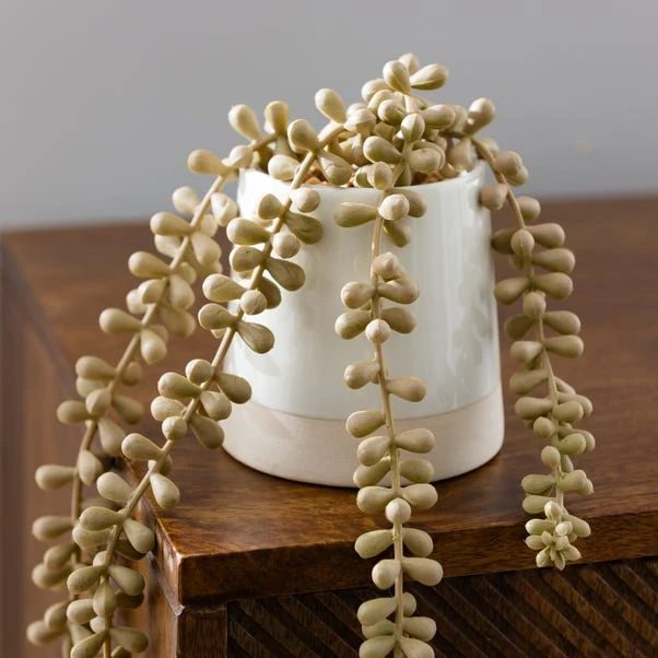 Artificial Trailing String Of Pearls Plant In Textured Ceramic Plant Pot - Image 2