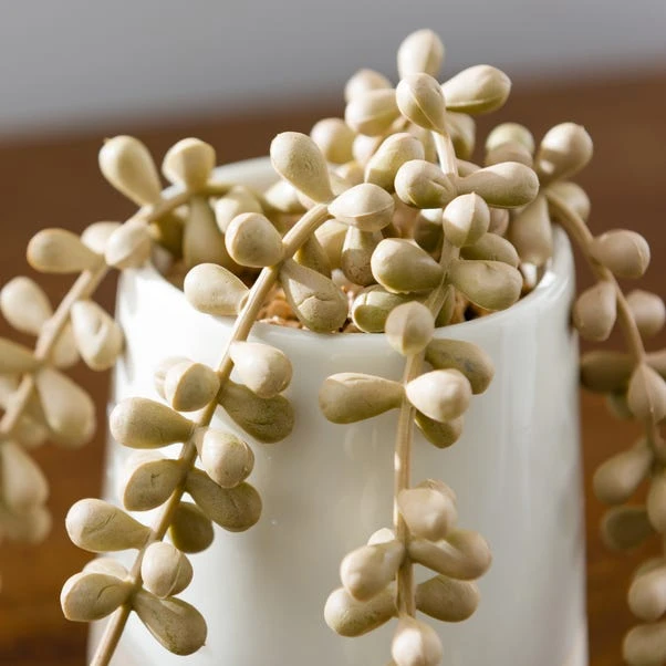 Artificial Trailing String Of Pearls Plant In Textured Ceramic Plant Pot - Image 3