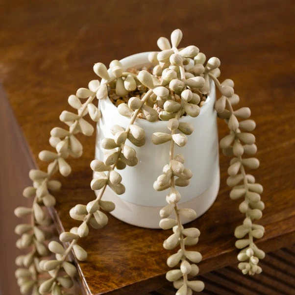 Artificial Trailing String Of Pearls Plant In Textured Ceramic Plant Pot - Image 4