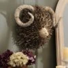 Voyage Maison Beau Wall Mounted Ram Head Ornament
